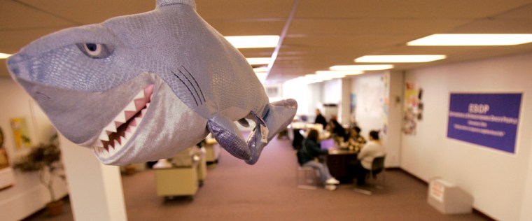 Image: An inflatable shark