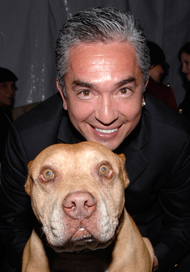 Cesar Millan