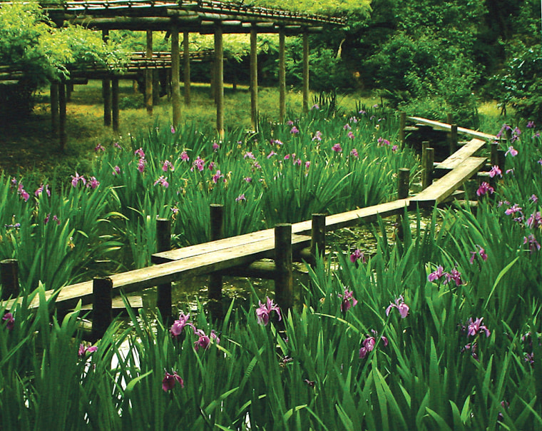 Image: Koishikawa Korakuen Garden