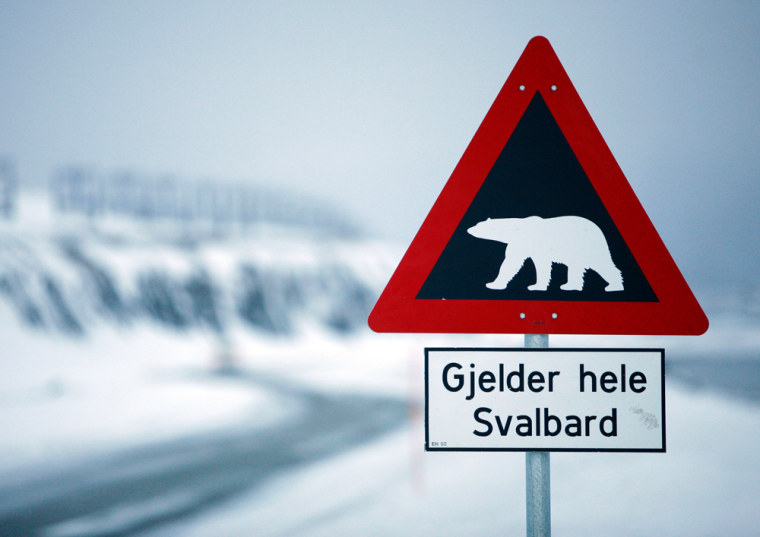 Image: Svalbard