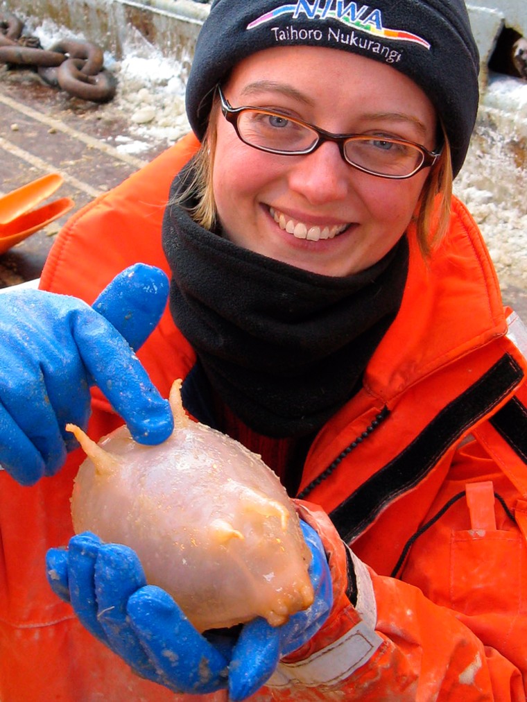 Image: Technician Sadie Mills poses with a recently-collected sea cucumber