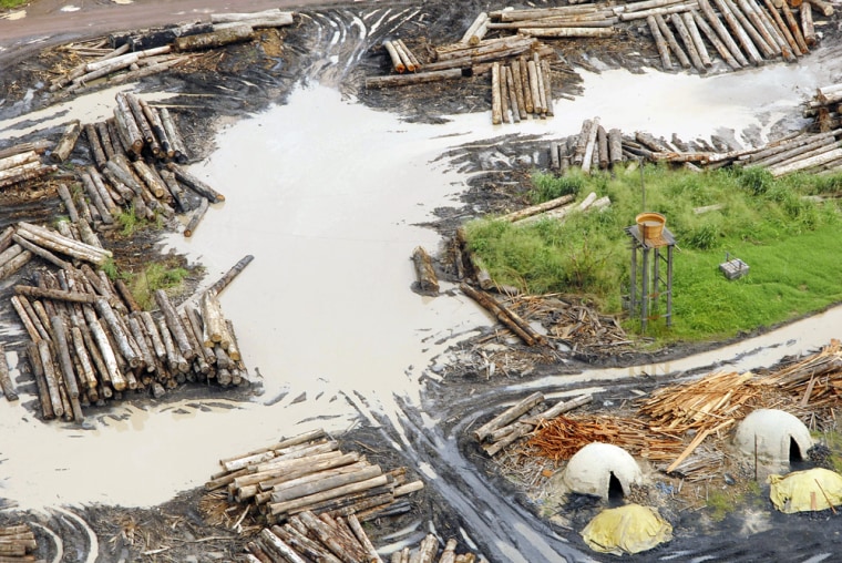 Image: An aerial view of a sawmill that processes logs from the Amazon rainforest in Tailandia, Brazil