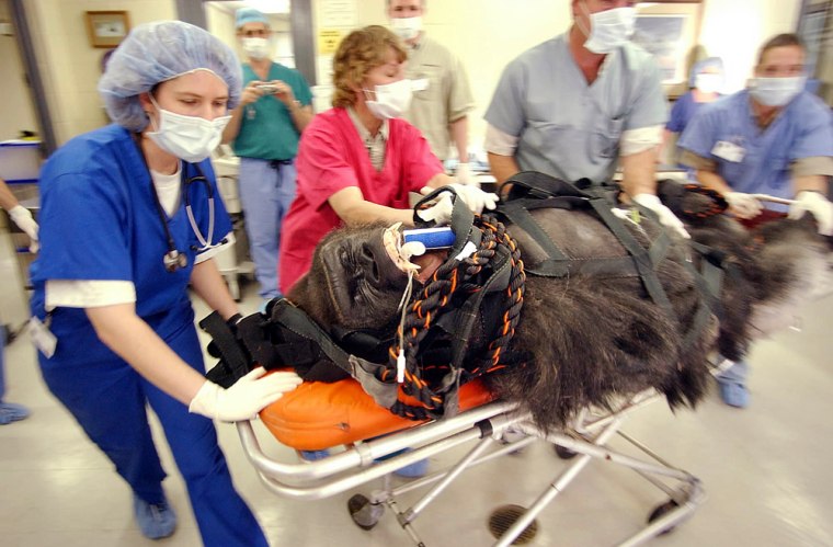 OGBURN, REIDMILLER, COOK, SEVERSON