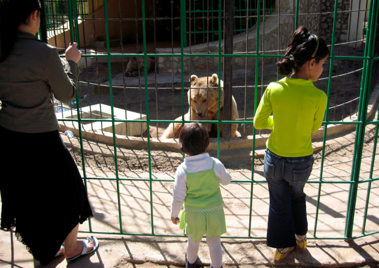 Image: Baghdad zoo