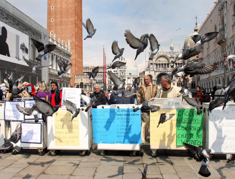 Image: Pigeon feed-sellers protest