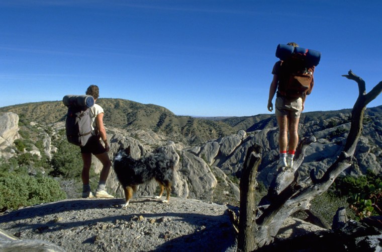 Image: HIKERS AND DOG