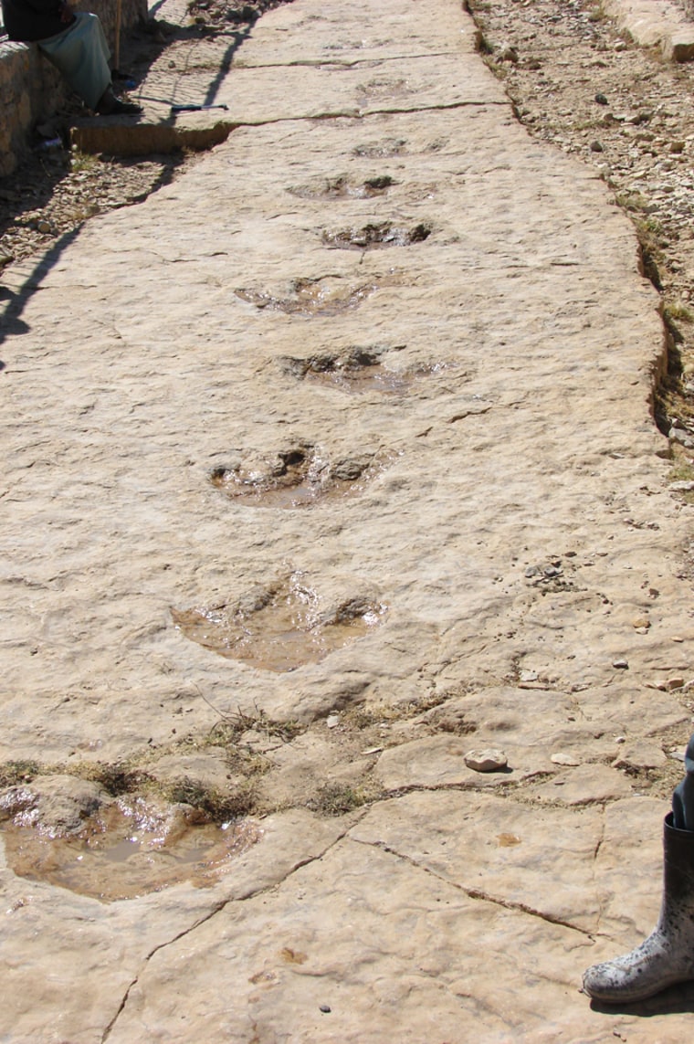 Image: Ornithopod trackway