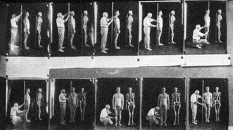 Image: Harry H. Laughlin  measuring individuals