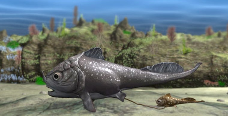 Image: Armored fish