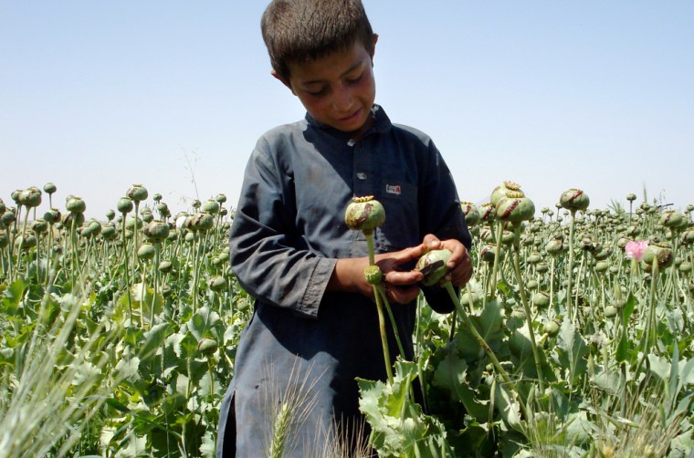 Image: Afghan opium