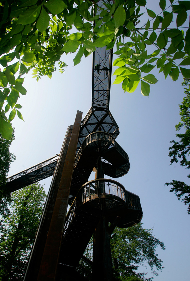 Image: Xstrata Treetop Walkway at The Royal Botanic Gardens