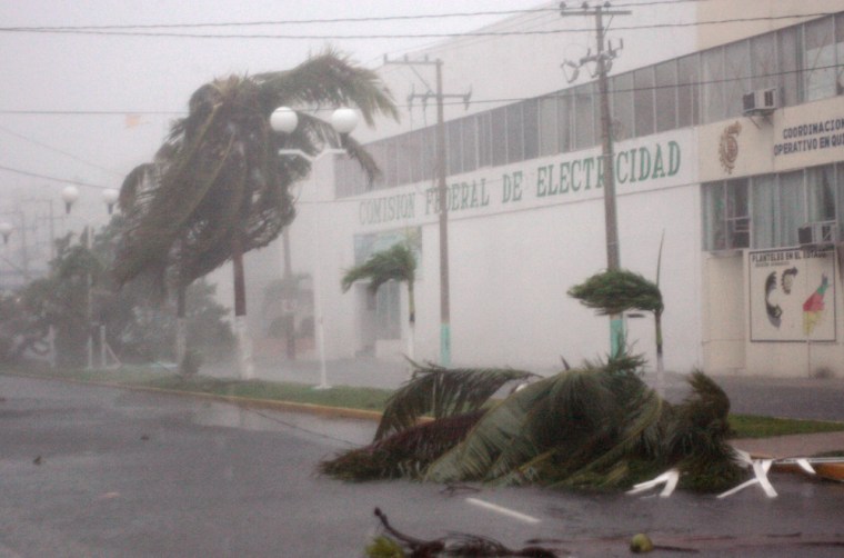 Image: A tree is blown down in Mexico during Hurricane Dean