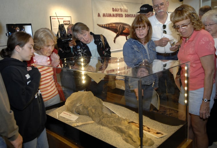 Spectators view the tail of Dakota, a duckbilled dinosaur, at the North Dakota Heritage Center in Bismarck, N.D. Researchers said they are still working to remove the body of the dinosaur from it's sandstone casing.