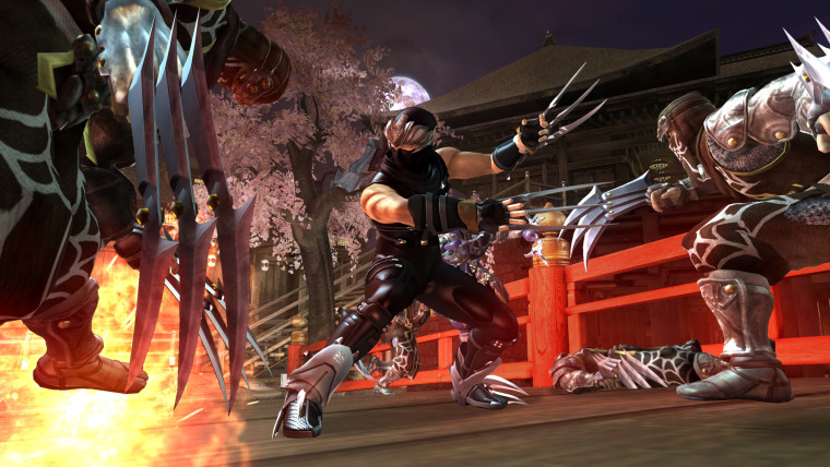 Image: Ninja Gaiden II