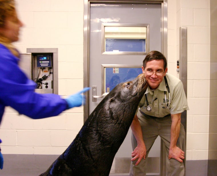 Image: Fonzie gives veterinarian Paul Calle a kiss
