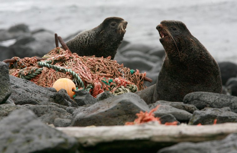 Image: Marine debris