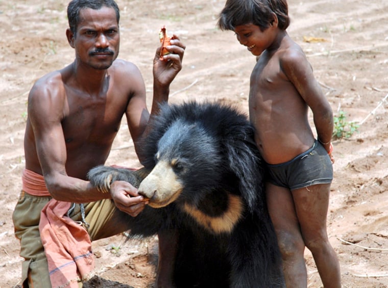 Image: Ram Singh Munda, 35, and his daughter feed their pet sloth bear