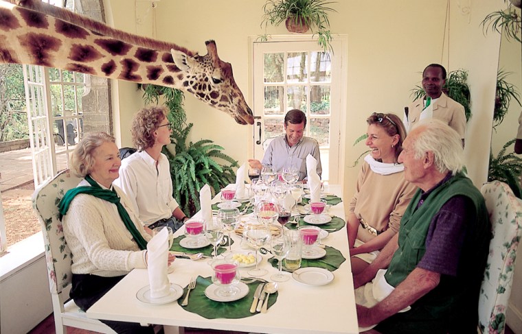 Image: The Giraffe Manor