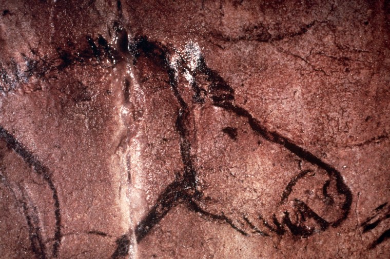 Image: Prehistoric cave art of a horse in Lascaux, France