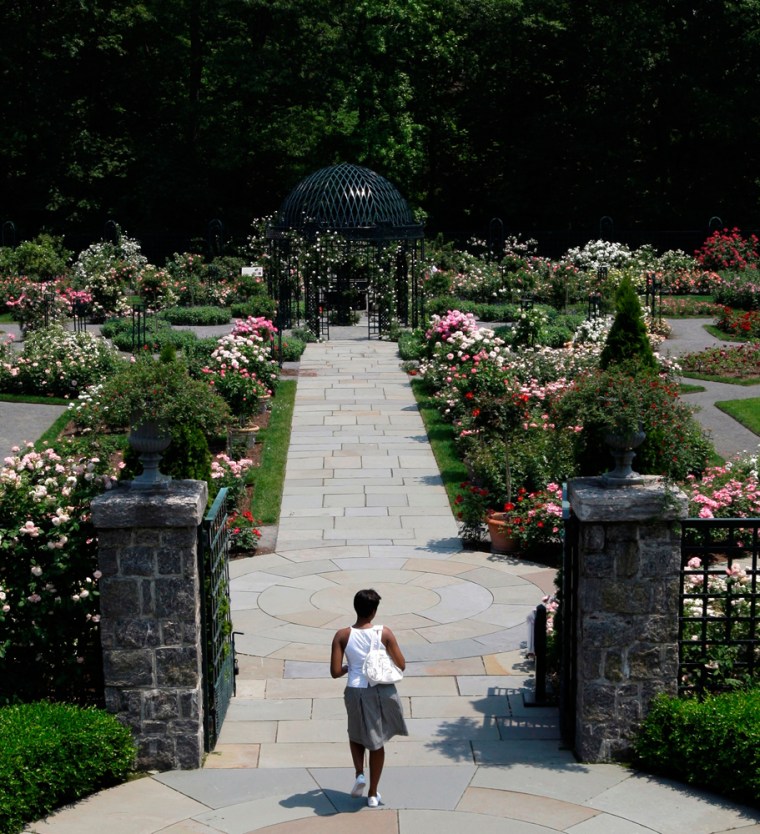 Image: Bronx greenery