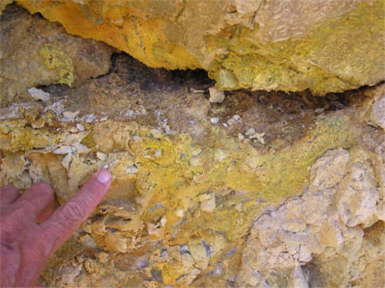 One of the jarosite samples taken from the Coromandel Peninsula in New Zealand. Credit: Michelle Kotler