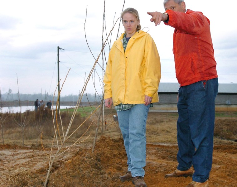 Young poplar trees have been planted on top of a hog waste lagoon in Whitakers, N.C. Researcher Frank Humenik shows the project to Sierra Club staffer Courtney Washburn.
