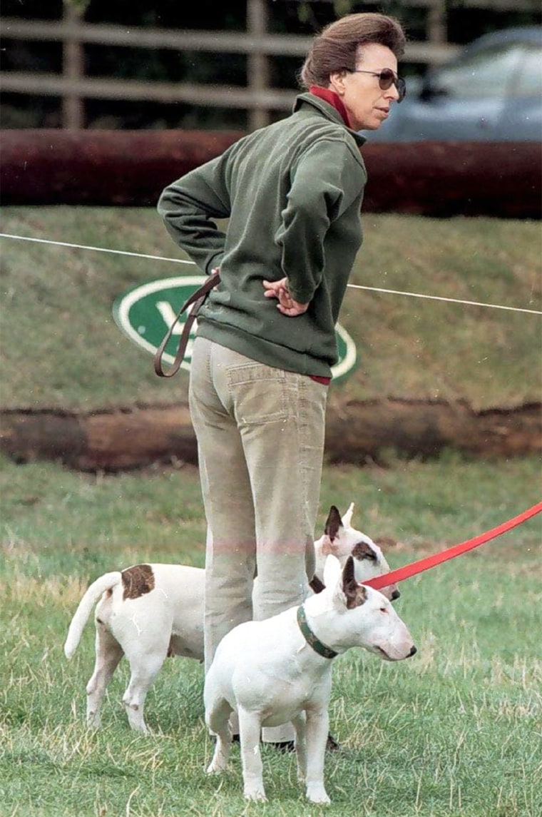 Queen Elizabeth's daughter Princess Anne has owned English bull terriers for years. In 1996, she took these two for an outing at her Gloucestershire, England, home. 