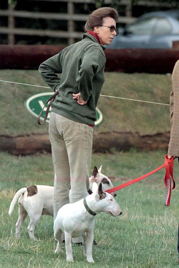Princess Anne, daughter of Queen Elizabeth II, stands with her English bull terriers at her home in Gloucestershire, England, in 1996.