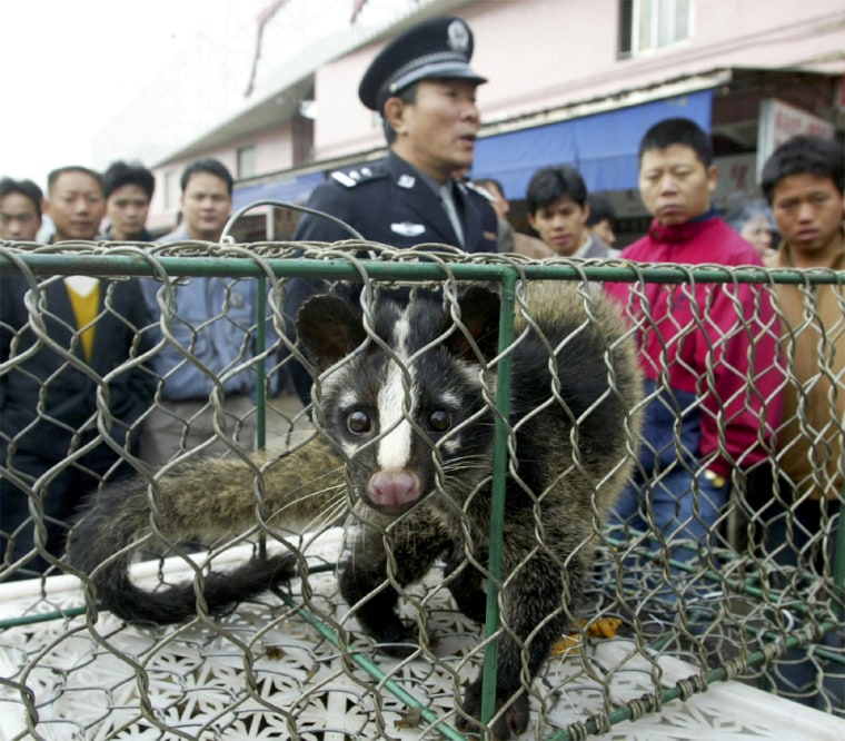 A CONFISCATED CIVET CAT PACES INSIDE A CAGE AT A WILD GAME MARKET IN GUANGZHOU