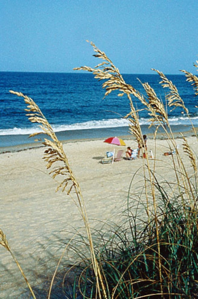 Image: Beach