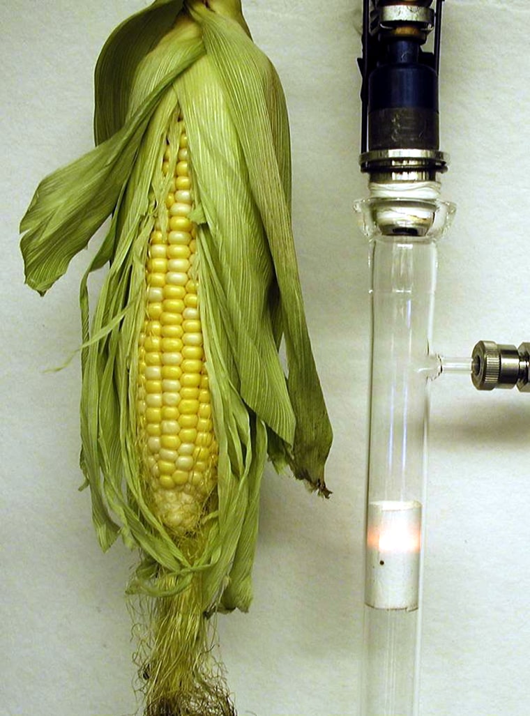 An autothermal chemical reactor, used to convert ethanol into hydrogen, glows alongside an ear of corn, the raw material used to produce ethanol.
