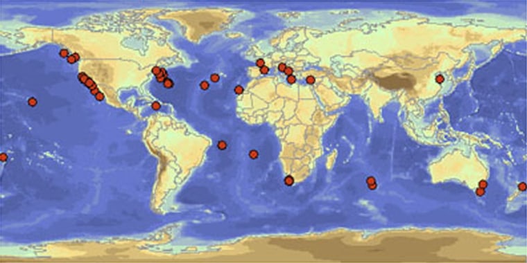 A global scale map shows the distribution for a single species of tuna, Thunnus alaunga.