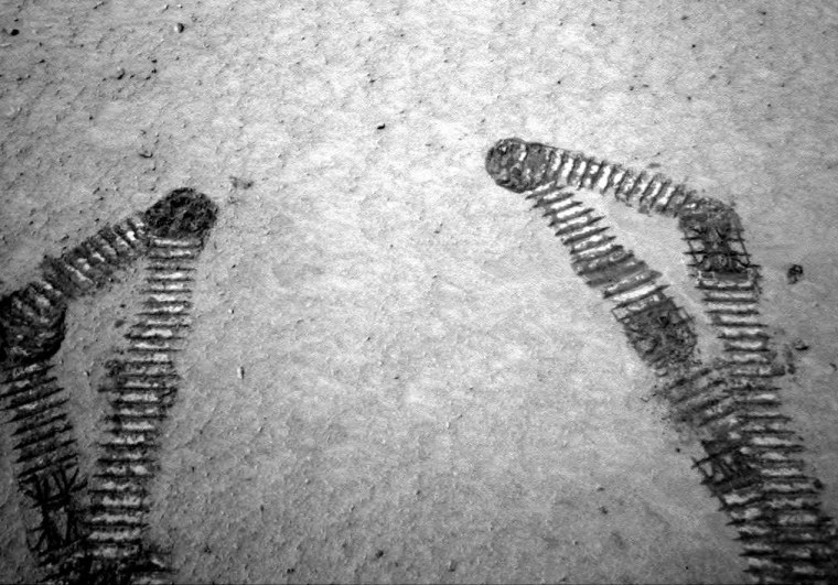 The Spirit rover takes a look at its own wheel tracks in Martian dust, using its navigation camera. The rover is moving through a dust-filled depression in Mars' Gusev Crater.