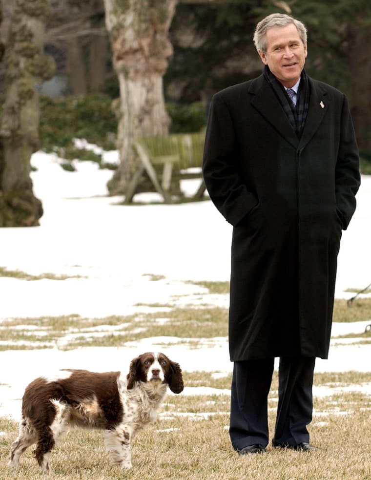 Bush white house dog hot sale