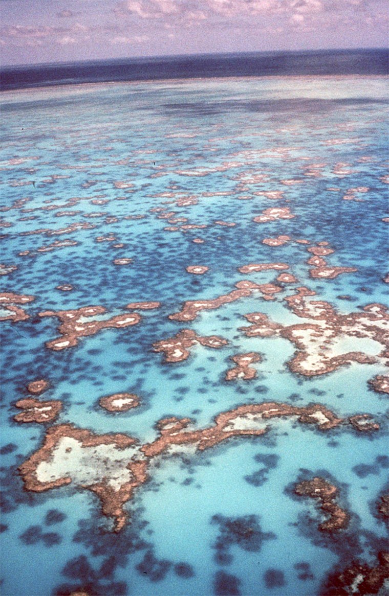 BARRIER REEF FILE PHOTO