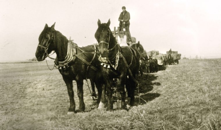 Huesby's grandfather, Otto Hellberg, drives a team of horses over the original family farm.