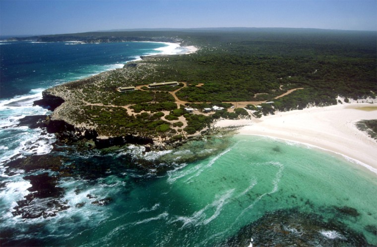 Kangaroo Island, just off the coast of mainland Australia. Photo by Adam Bruzzone, Courtesy Australian Tourist Commission