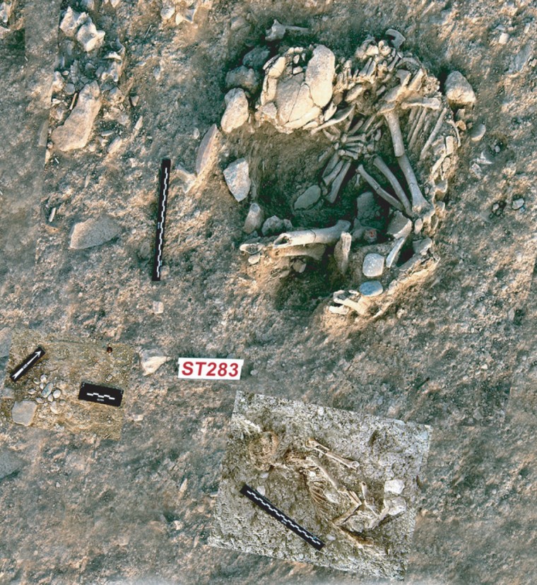A human burial with cat skeleton (right, below).