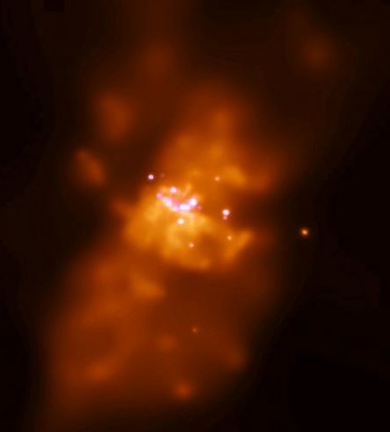 The starburst galaxy M82 has several bright X-ray sources, as seen in this image from the Chandra X-ray Observatory. At least one appears to harbor a middleweight black hole, while others may involve lesser massive objects, possibly stellar black holes.