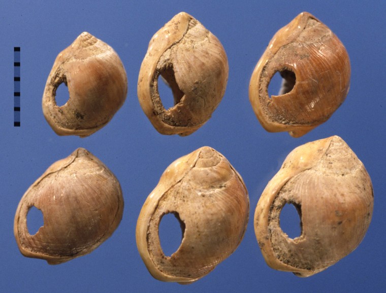 Someone living in a cave overlooking the Indian Ocean bored holes in a set of shells and strung them as beads, the earliest known human jewelry.