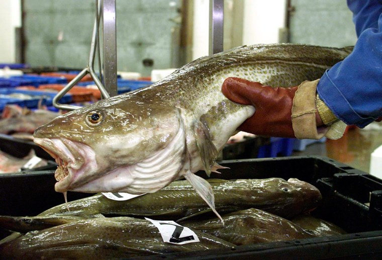 The global catch of cod declined from 3.42 million tons in 1970 to 1 million tons in 2000.
