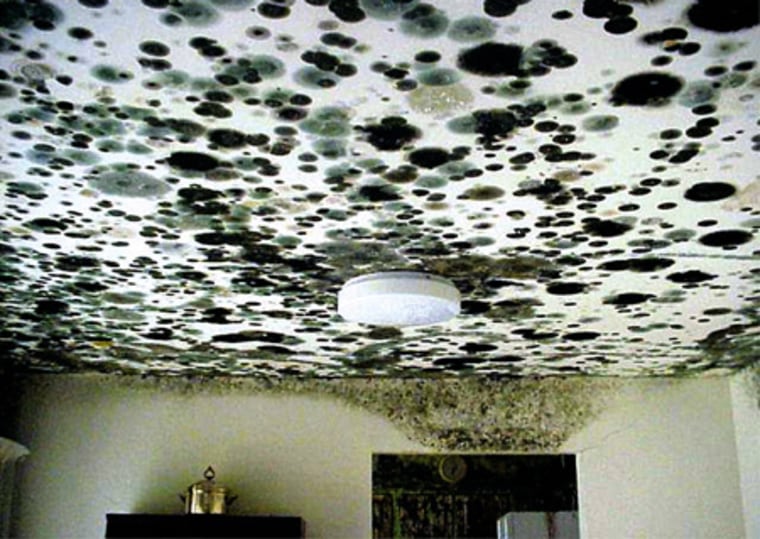 Most buildings won't see this kind of excessive mold growth, but even small quantities can affect some people, especially those with existing respiratory problems, a new report says.