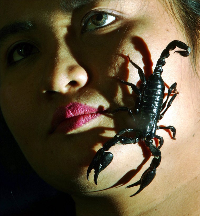 File picture of Malaysian Nur Malena Hassan shows scorpion she has been living with in Kuantan