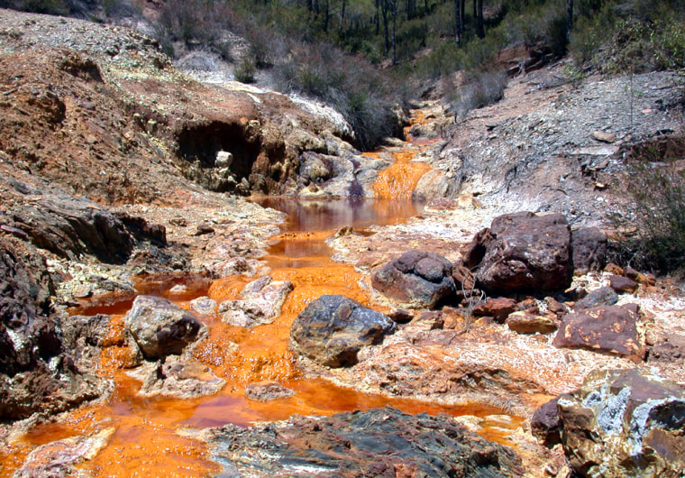 Orange minerals tint the rocks in Spain's Tinto River region, where the water is highly acidic. The water chemistry on ancient Mars may have been similar, scientists say.