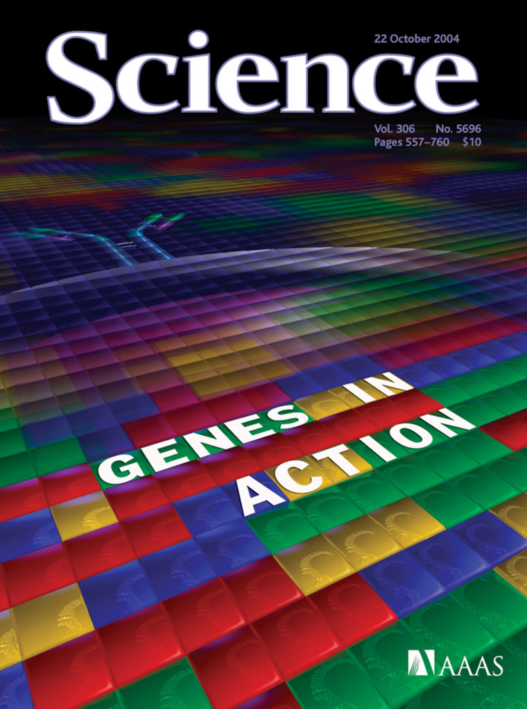A computational method enables rapid analysis of the blocklike pattern of genetic variation in the mouse genome, which can be used in analyzing mouse models of human disease. The cover stories in the journal Science explore new approaches to understanding how genes are expressed and how they function.
