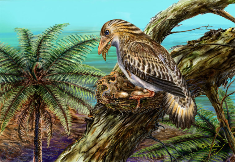 An artist's conception shows an ancient bird and its brood as they might have appeared 121 million years ago.