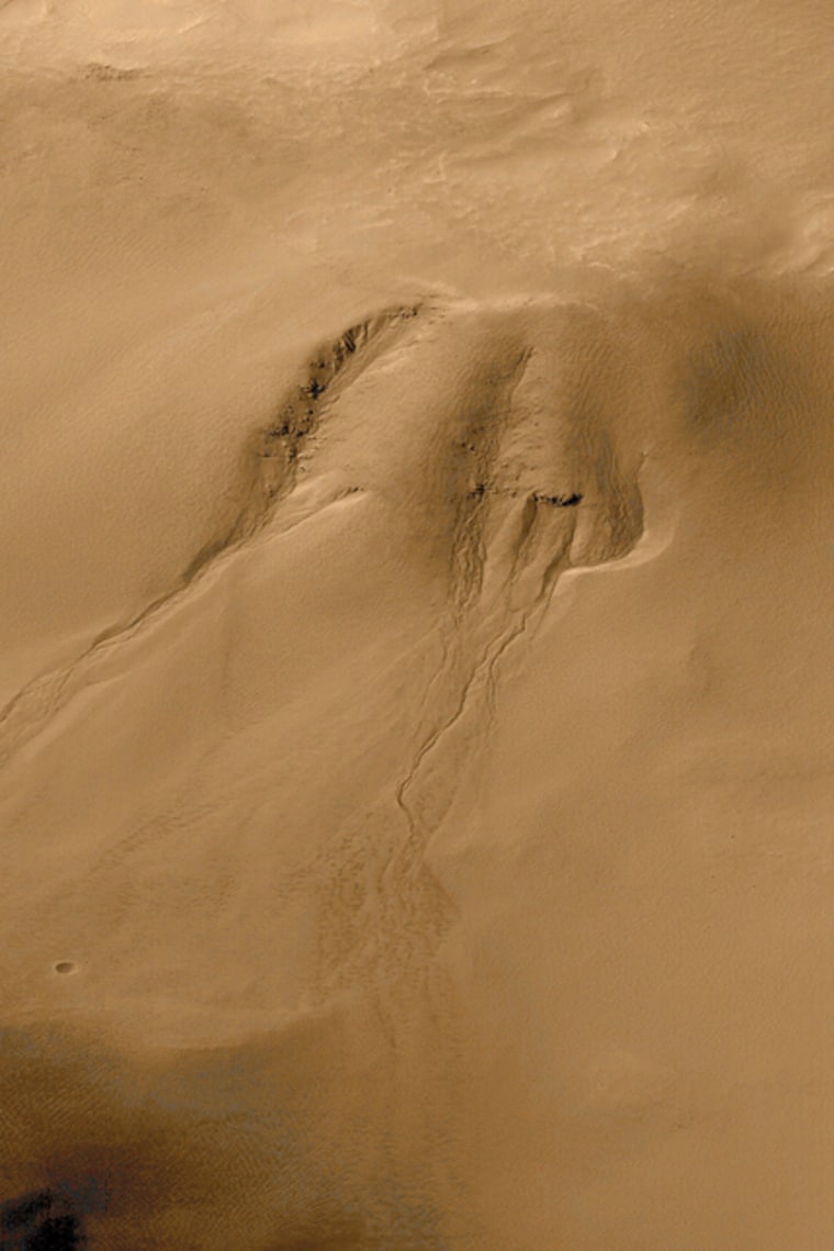 Martian gullies cut into the wall of this meteor impact crater in Noachis Terra. Scientists hypothesize that that the gullies were created by water seeping from underground aquifers.