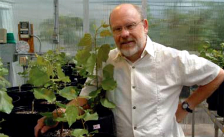Jack Schultz, a chemical ecologist and professor of entomology at Penn State University, is working to develop "sentinel plants" for the Pentagon. "Plants make good sentinels because they can't run away," he says.
