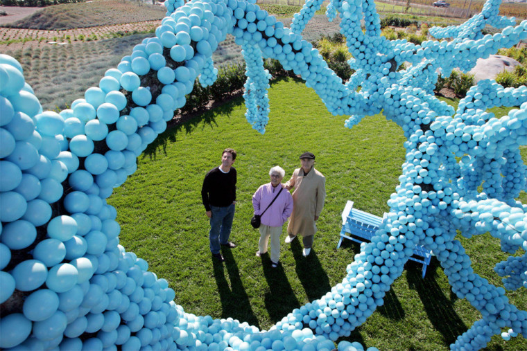 A group of visitors to the Cornerstone Festival of Gardens look up at the exhibit "Blue Tree" in Sonoma, Calif. "Blue Tree" was created by landscape architect and artist Claude Cormier. Cornerstone is the first gallery-style garden exhibit in the United States. 