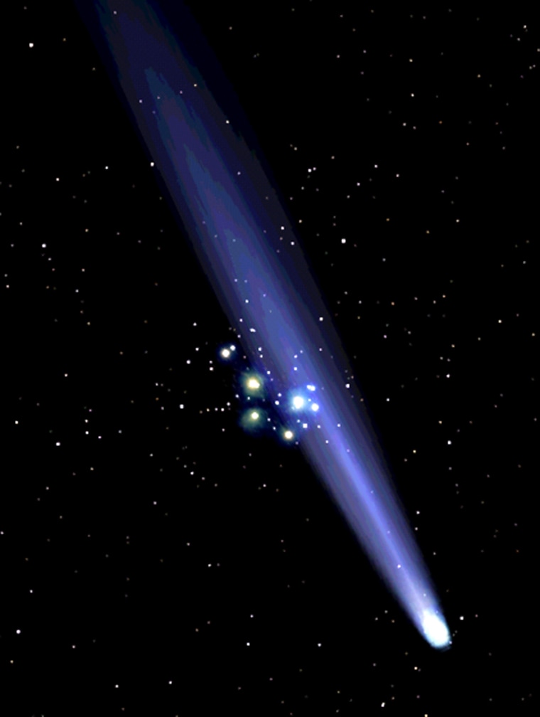 A computer simulation shows Comet Machholz's tail streaming across the Pleiades star cluster, as seen from midnorthern latitudes on Jan. 7. You'll need clear, dark skies and a binoculars or small telescope for this view.
